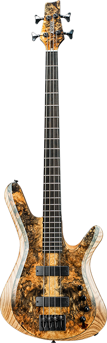 Kiesel 2024 bass guitars